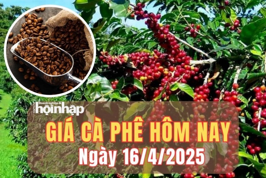 Giá Cà Phê Thế Giới Hôm Nay 16-04-2025