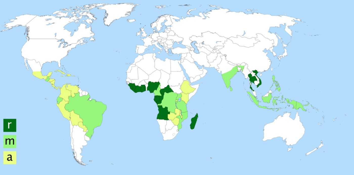 Bản đồ phân bố của cà phê Arabica và Robusta (The coffee bean belt) [r] khu vực trồng Robusta, [a] khu vực trồng Arabica, [m] canh tác cả hai loại | Ảnh Wikimedia