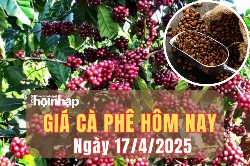 Giá cà phê hôm nay 17/4/2025: Tiếp tục tăng sốc