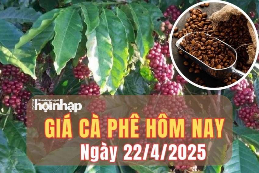 Giá cà phê nội địa ngày 22-4-2025