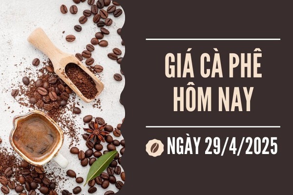Giá Cà Phê Thế Giới Hôm Nay 29-04-2025