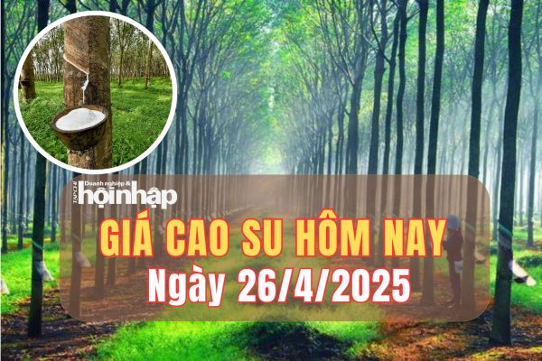 Giá Cao Su Hôm Nay 26-04-2025