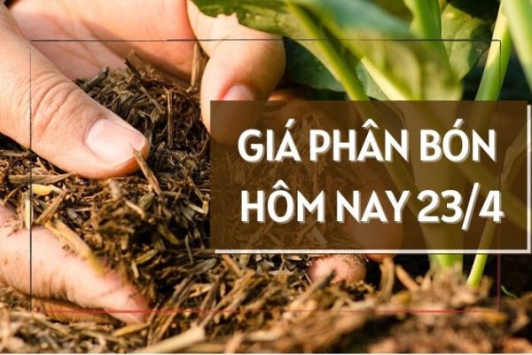 Giá Phân Bón Hôm Nay 23-04-2025