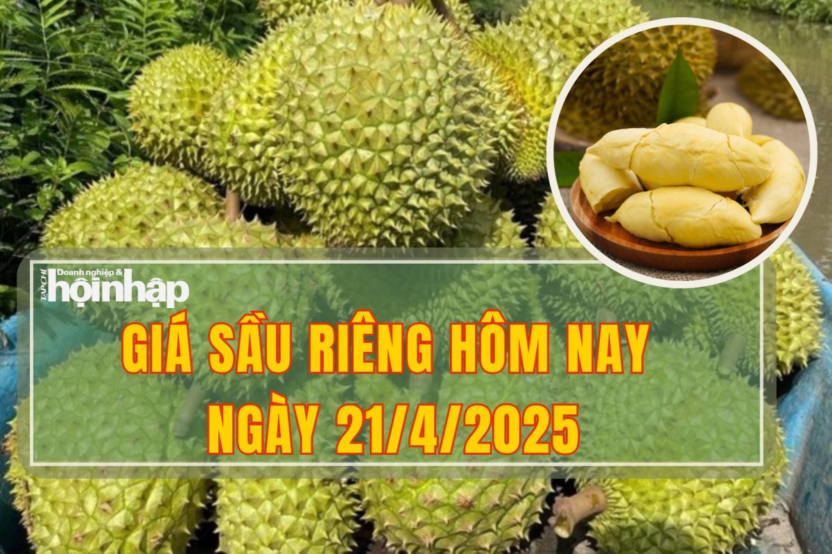 Giá Sầu Riêng Hôm Nay 22-4-2025