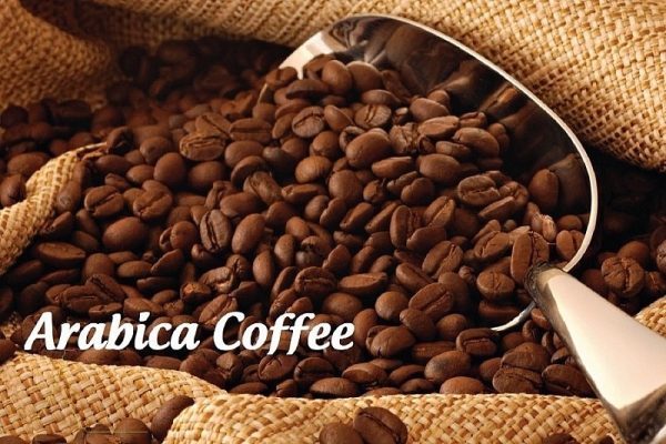 Giá cà phê Arabica ngày 22/06/2025